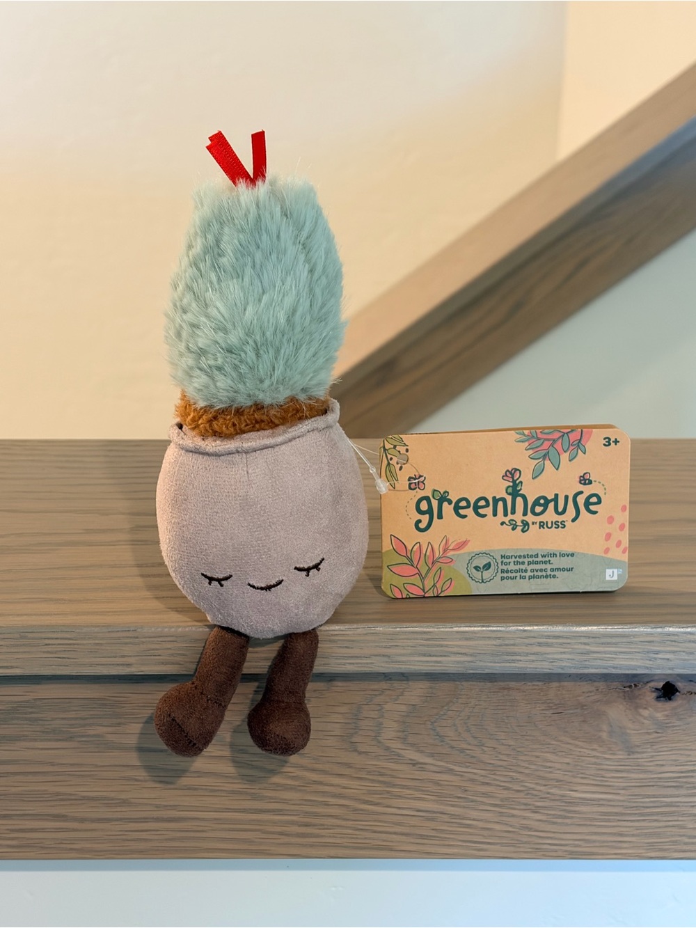 🌱 Greenhouse By Russ Finn The Cactus Succulent 🌵 Mini 6” Plush Potted Plant BNWT